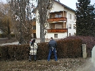 Galerie Blochziehen026.JPG anzeigen.