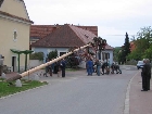 Galerie maibaum011.jpg anzeigen.