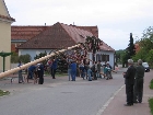 Galerie maibaum012.jpg anzeigen.