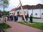 Galerie maibaum013.jpg anzeigen.