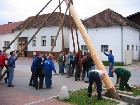 Galerie maibaum015.jpg anzeigen.