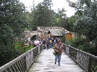 Galerie Photos 203.jpg anzeigen.