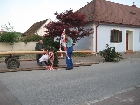 Galerie IMG_4204.jpg anzeigen.