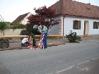 Galerie IMG_4205.jpg anzeigen.