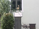 Galerie Foto 1 091.jpg anzeigen.
