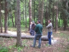Galerie IMG_5530.jpg anzeigen.