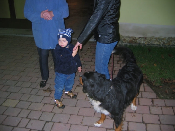 http://www.jormannsdorf.at/ff/bildergalerie/cache/vs_2004%20Allerheiligenfeier_allerheiligenfeier025.jpg