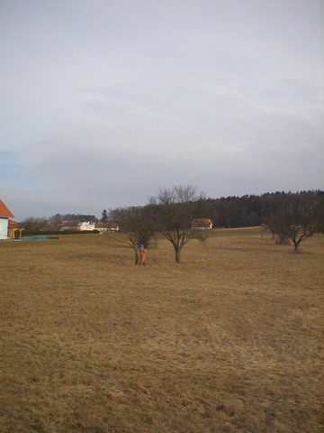 http://www.jormannsdorf.at/ff/bildergalerie/cache/vs_2004%20Blochziehen_Blochziehen019.JPG