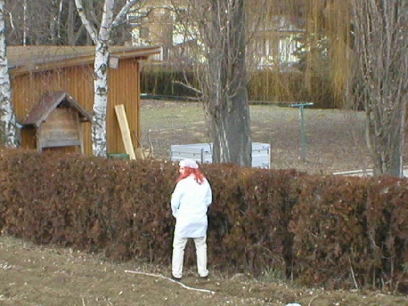 http://www.jormannsdorf.at/ff/bildergalerie/cache/vs_2004%20Blochziehen_Blochziehen025.JPG