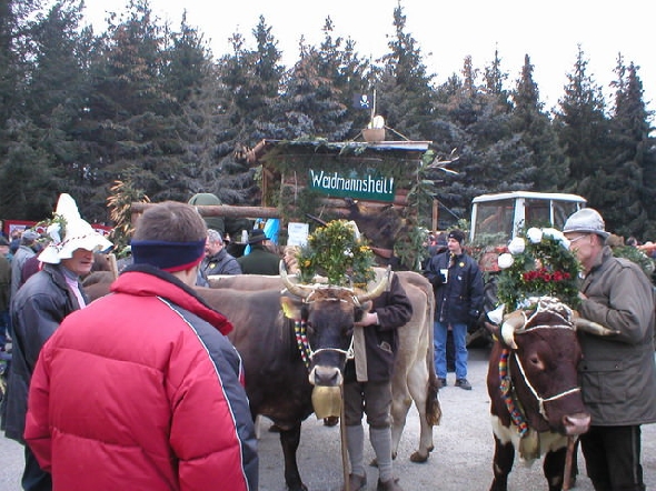 http://www.jormannsdorf.at/ff/bildergalerie/cache/vs_2004%20Blochziehen_Blochziehen048.JPG