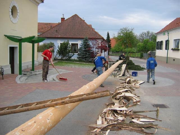 http://www.jormannsdorf.at/ff/bildergalerie/cache/vs_2004%20Maibaumaufstellen_maibaum001.jpg