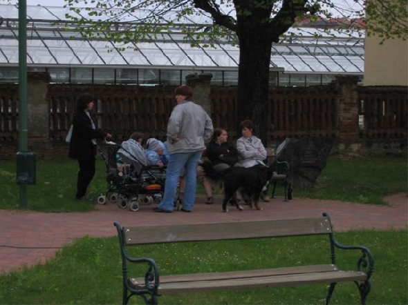 http://www.jormannsdorf.at/ff/bildergalerie/cache/vs_2004%20Maibaumaufstellen_maibaum010.jpg
