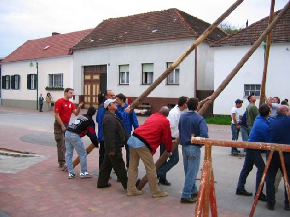 http://www.jormannsdorf.at/ff/bildergalerie/cache/vs_2004%20Maibaumaufstellen_maibaum014.jpg