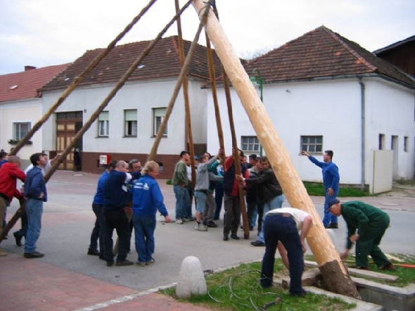 http://www.jormannsdorf.at/ff/bildergalerie/cache/vs_2004%20Maibaumaufstellen_maibaum015.jpg