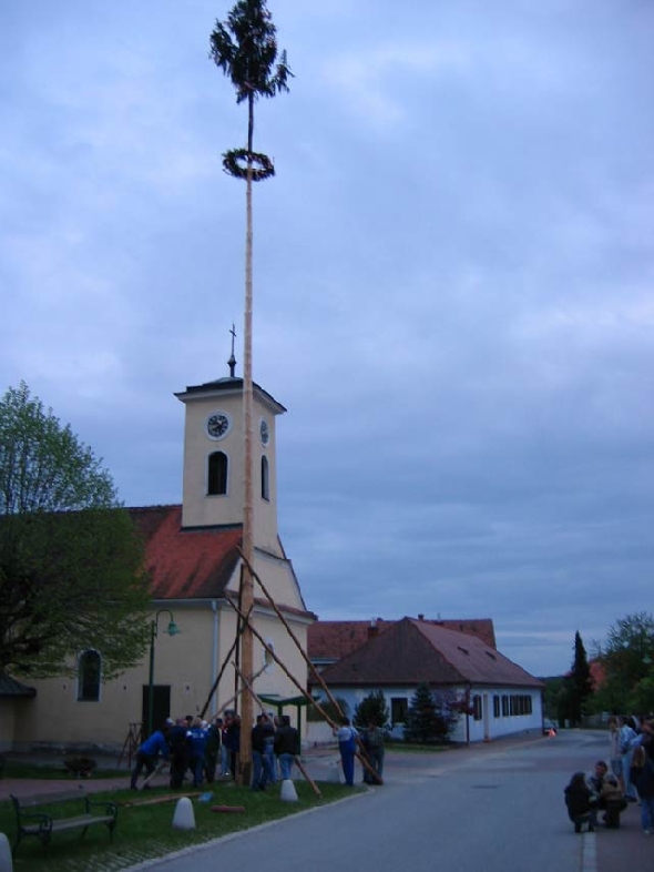 http://www.jormannsdorf.at/ff/bildergalerie/cache/vs_2004%20Maibaumaufstellen_maibaum016.jpg