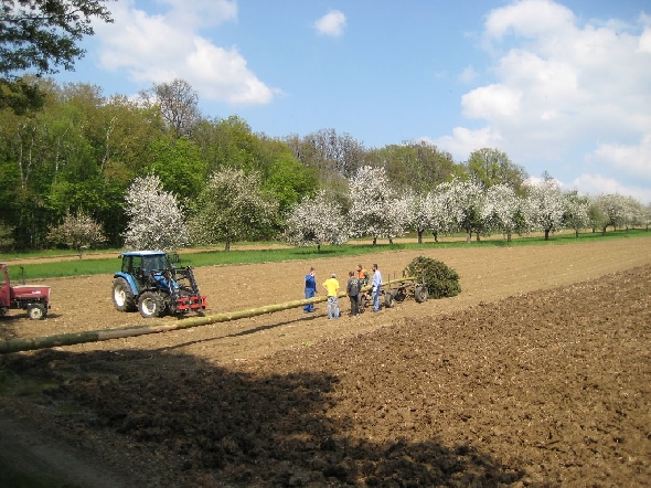 http://www.jormannsdorf.at/ff/bildergalerie/cache/vs_2008_04_26%20Maibaum_CANON%20081.jpg