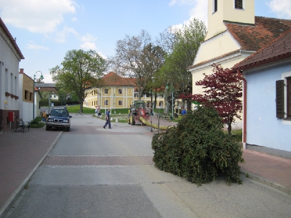 http://www.jormannsdorf.at/ff/bildergalerie/cache/vs_2008_04_26%20Maibaum_CANON%20089.jpg