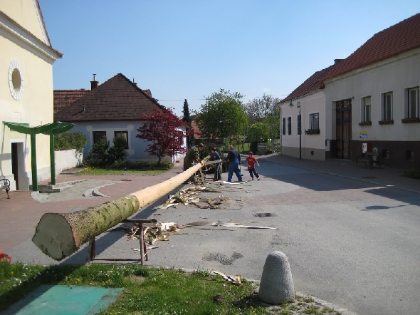 http://www.jormannsdorf.at/ff/bildergalerie/cache/vs_2008_04_26%20Maibaum_CANON%20100.jpg