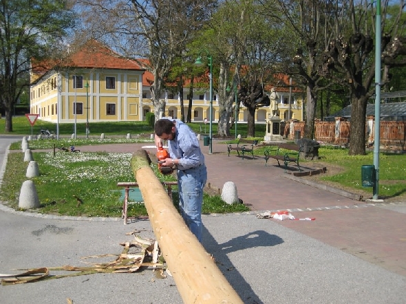 http://www.jormannsdorf.at/ff/bildergalerie/cache/vs_2008_04_26%20Maibaum_CANON%20105.jpg
