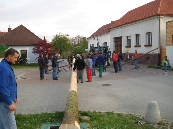 http://www.jormannsdorf.at/ff/bildergalerie/cache/vs_2008_04_26%20Maibaum_CANON%20118.jpg