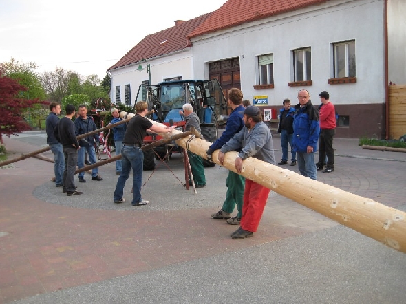 http://www.jormannsdorf.at/ff/bildergalerie/cache/vs_2008_04_26%20Maibaum_CANON%20119.jpg