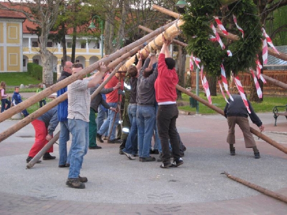 http://www.jormannsdorf.at/ff/bildergalerie/cache/vs_2008_04_26%20Maibaum_CANON%20122.jpg