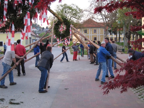 http://www.jormannsdorf.at/ff/bildergalerie/cache/vs_2008_04_26%20Maibaum_CANON%20127.jpg