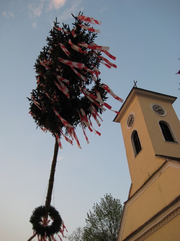 http://www.jormannsdorf.at/ff/bildergalerie/cache/vs_2008_04_26%20Maibaum_CANON%20129.jpg