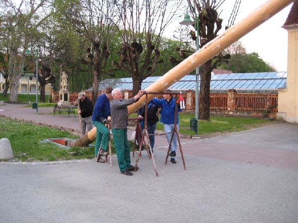 http://www.jormannsdorf.at/ff/bildergalerie/cache/vs_2008_04_26%20Maibaum_CANON%20132.jpg