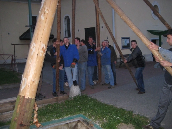 http://www.jormannsdorf.at/ff/bildergalerie/cache/vs_2008_04_26%20Maibaum_CANON%20143.jpg