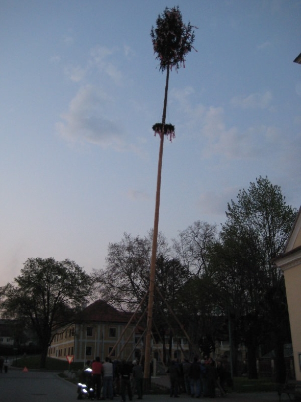 http://www.jormannsdorf.at/ff/bildergalerie/cache/vs_2008_04_26%20Maibaum_CANON%20144.jpg