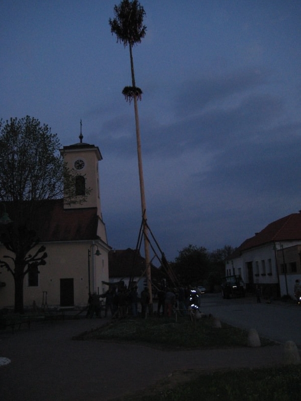 http://www.jormannsdorf.at/ff/bildergalerie/cache/vs_2008_04_26%20Maibaum_CANON%20146.jpg