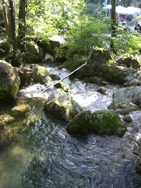 http://www.jormannsdorf.at/ff/bildergalerie/cache/vs_2008_08_30%20Feuerwehrausflug_CIMG1857.JPG