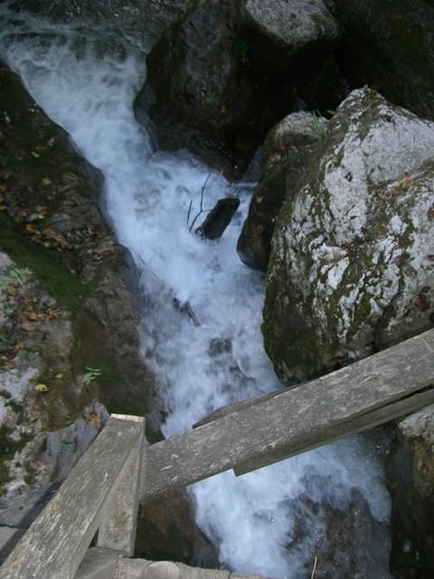 http://www.jormannsdorf.at/ff/bildergalerie/cache/vs_2008_08_30%20Feuerwehrausflug_CIMG1864.JPG