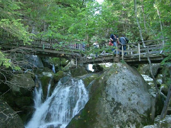 http://www.jormannsdorf.at/ff/bildergalerie/cache/vs_2008_08_30%20Feuerwehrausflug_CIMG1866.JPG