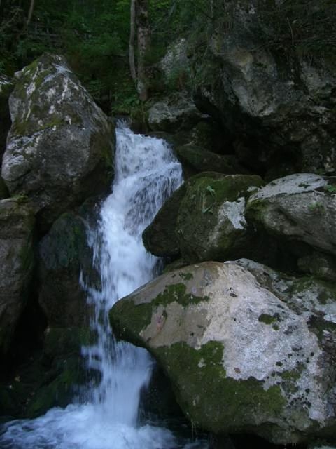 http://www.jormannsdorf.at/ff/bildergalerie/cache/vs_2008_08_30%20Feuerwehrausflug_CIMG1867.JPG
