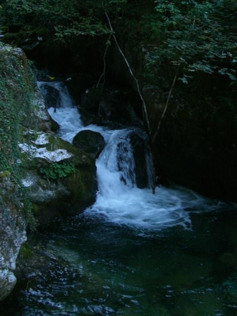 http://www.jormannsdorf.at/ff/bildergalerie/cache/vs_2008_08_30%20Feuerwehrausflug_CIMG1874.JPG