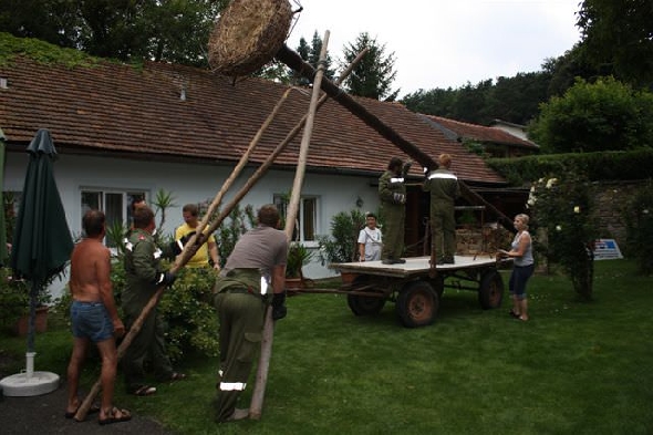 http://www.jormannsdorf.at/ff/bildergalerie/cache/vs_2009_07_15%20Batthyany%20Keller%20Storchennest_IMG_1515.jpg