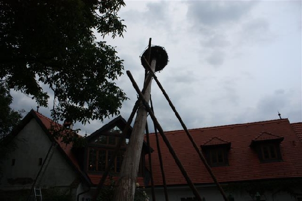 http://www.jormannsdorf.at/ff/bildergalerie/cache/vs_2009_07_15%20Batthyany%20Keller%20Storchennest_IMG_1528.jpg