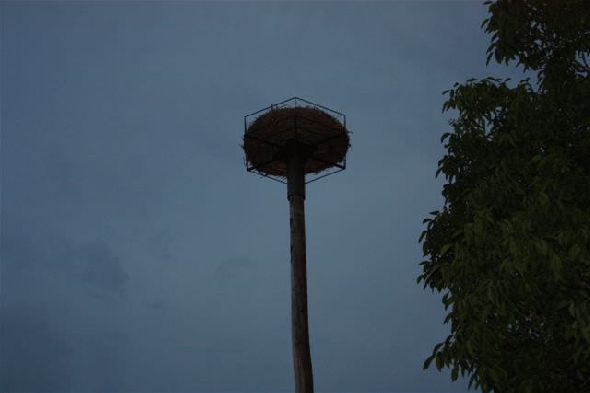 http://www.jormannsdorf.at/ff/bildergalerie/cache/vs_2009_07_15%20Batthyany%20Keller%20Storchennest_IMG_1538.jpg