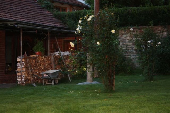 http://www.jormannsdorf.at/ff/bildergalerie/cache/vs_2009_07_15%20Batthyany%20Keller%20Storchennest_IMG_1546.jpg