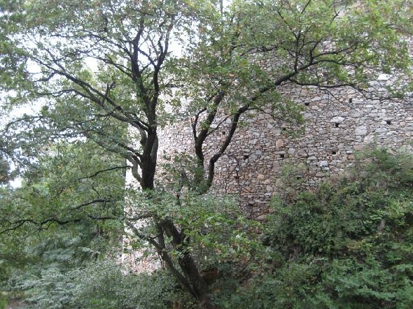 http://www.jormannsdorf.at/ff/bildergalerie/cache/vs_2009_08_29%20Feuerwehr%20Ausflug_Photos%20205.jpg