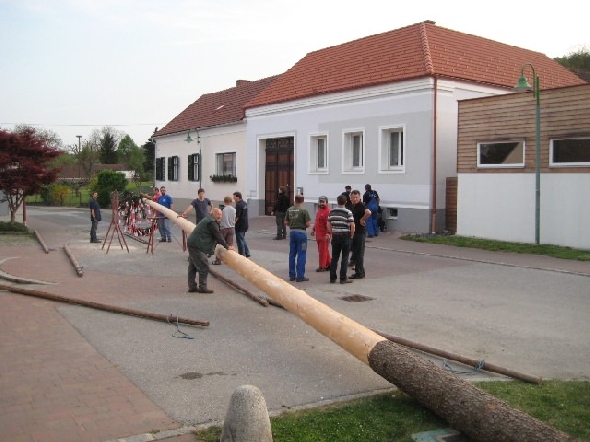 http://www.jormannsdorf.at/ff/bildergalerie/cache/vs_2010_04_30%20Maibaum_IMG_4214.jpg