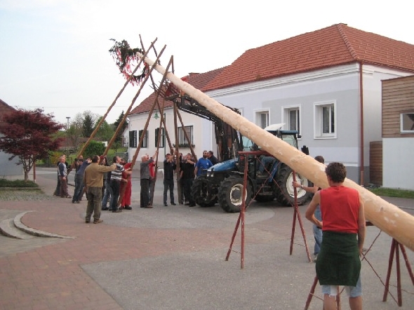 http://www.jormannsdorf.at/ff/bildergalerie/cache/vs_2010_04_30%20Maibaum_IMG_4230.jpg