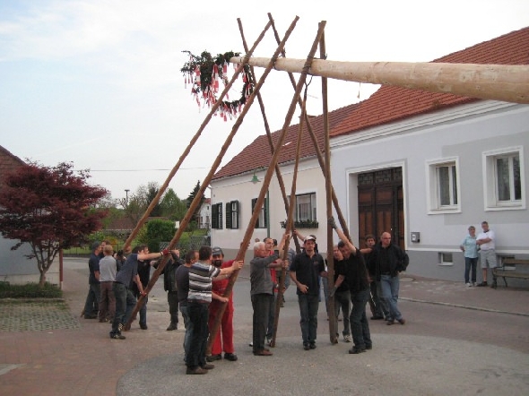 http://www.jormannsdorf.at/ff/bildergalerie/cache/vs_2010_04_30%20Maibaum_IMG_4231.jpg