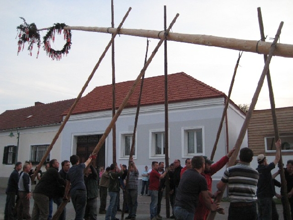 http://www.jormannsdorf.at/ff/bildergalerie/cache/vs_2010_04_30%20Maibaum_IMG_4237.jpg