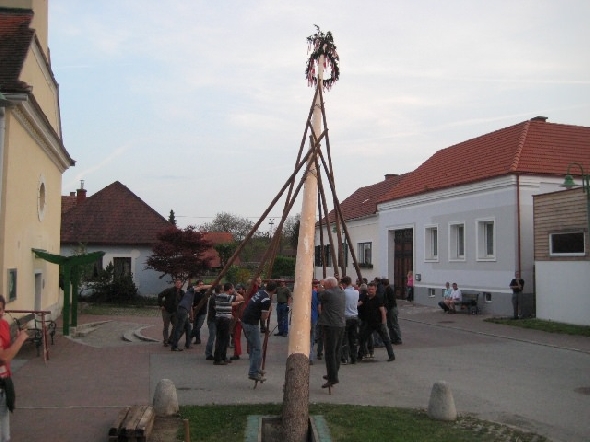 http://www.jormannsdorf.at/ff/bildergalerie/cache/vs_2010_04_30%20Maibaum_IMG_4239.jpg
