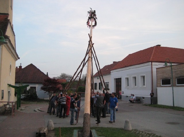 http://www.jormannsdorf.at/ff/bildergalerie/cache/vs_2010_04_30%20Maibaum_IMG_4240.jpg