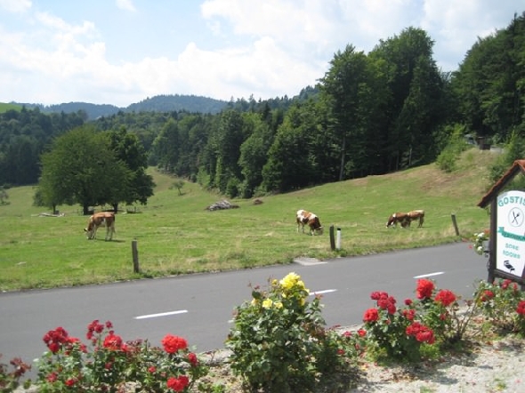 http://www.jormannsdorf.at/ff/bildergalerie/cache/vs_2010_08_21%20Feuerwehr%20Ausflug_Photos%20032.jpg