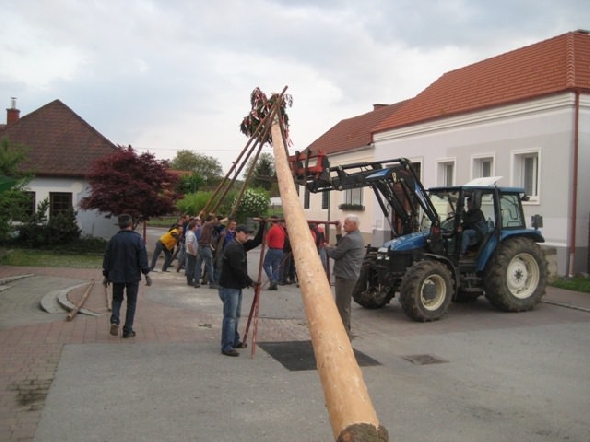 http://www.jormannsdorf.at/ff/bildergalerie/cache/vs_2011_04_30%20%20Maibaum_IMG_5573.jpg